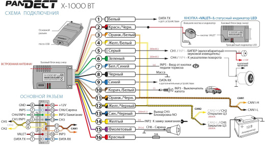 Pandect X-1000 BT